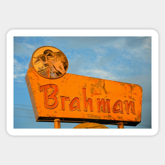 Brahman Bull Bar sign circa 1960 Sticker by dltphoto
